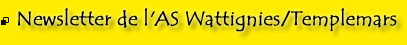 Newsletter AS Wattignies/Templemars Basketball